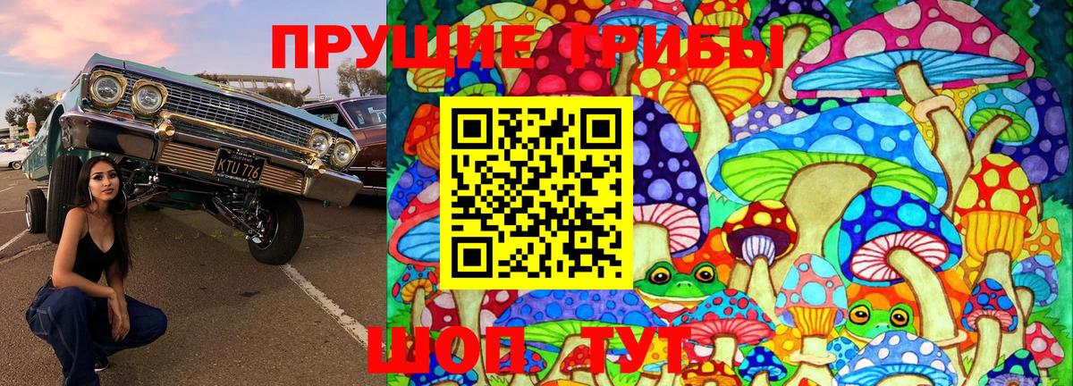 Галлюциногенные грибы Cubensis  Псилоцибиновые грибы Cubensis  Вход с VPN  Кохма 